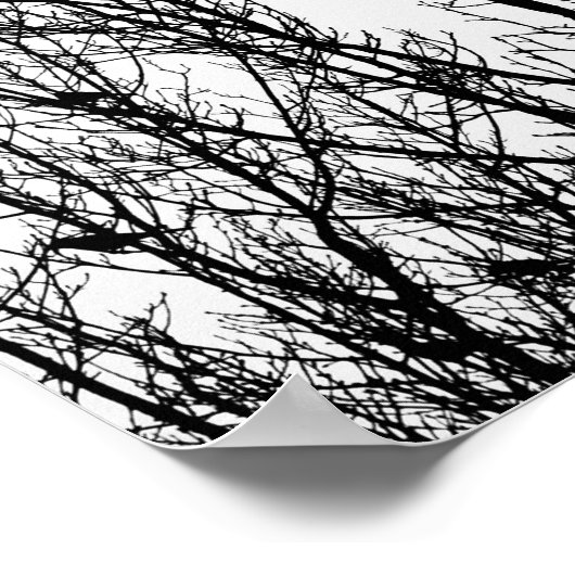 Minimalistische zwarte en witte foto van vogels in poster (Hoek)