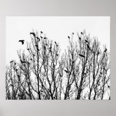 Minimalistische zwarte en witte foto van vogels in poster (Voorkant)
