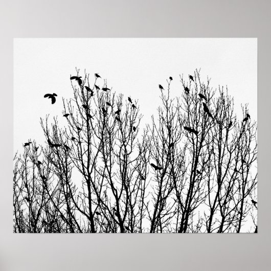 Minimalistische zwarte en witte foto van vogels in poster (Voorkant)
