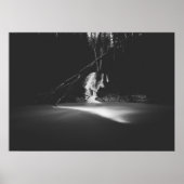 Minimalistische zwarte en witte waterval poster (Voorkant)
