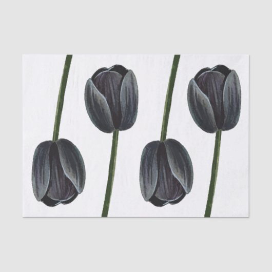 Minimalistische zwarte tulp tissuepapier (Voorkant)