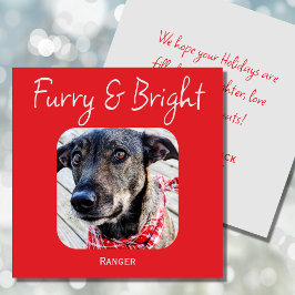 Minimimalistische Pet Photo Christmas-Kaart Feestdagenkaart