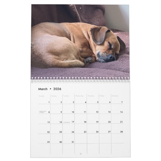 Minions World Kalender (Mar 2026)