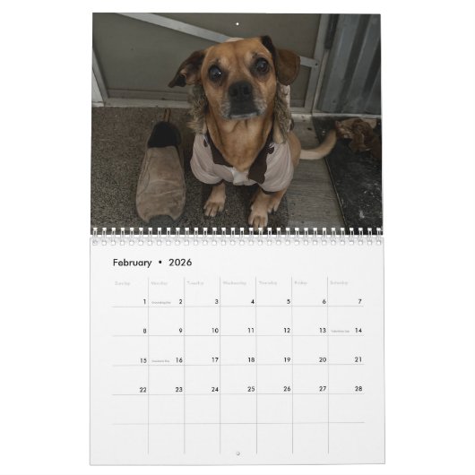 Minions World Kalender (Feb 2026)