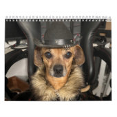 Minions World Kalender (Hoes)