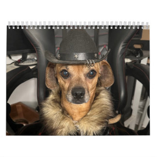 Minions World Kalender