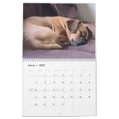 Minions World Kalender (Mar 2027)