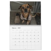 Minions World Kalender (Feb 2027)