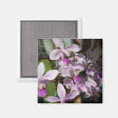 miniorchideeën magneet (Voorkant / Achterkant)