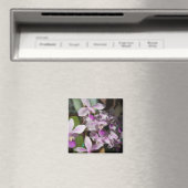 miniorchideeën magneet (Insitu (Vaatwasser))
