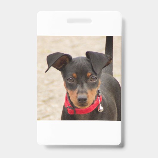 miniroestzwart en roest badge (Voorzijde)