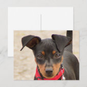 miniroestzwart en roest briefkaart (Voorkant / Achterkant)