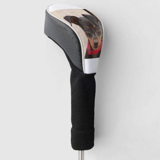 miniroestzwart en roest golfheadcover (Schuin)