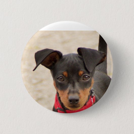 miniroestzwart en roest ronde button 5,7 cm (Voorkant)