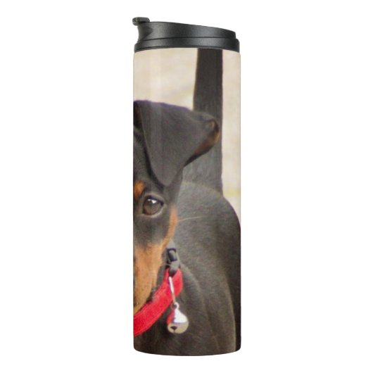 miniroestzwart en roest thermosbeker (Geroteerd rechts)