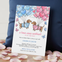 Minitere Weenie Zoeteliefje Dachshond Geslacht Ont
