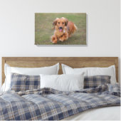 Miniture Dachshund Running Canvas Afdruk (Insitu (Slaapkamer))
