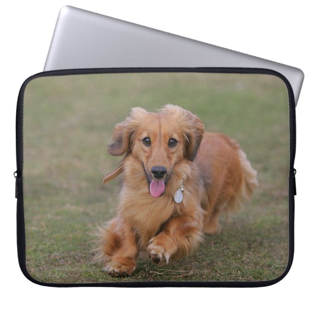 Miniture Dachshund Running Laptop Sleeve (Voorkant)