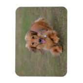 Miniture Dachshund Running Magneet (Verticaal)