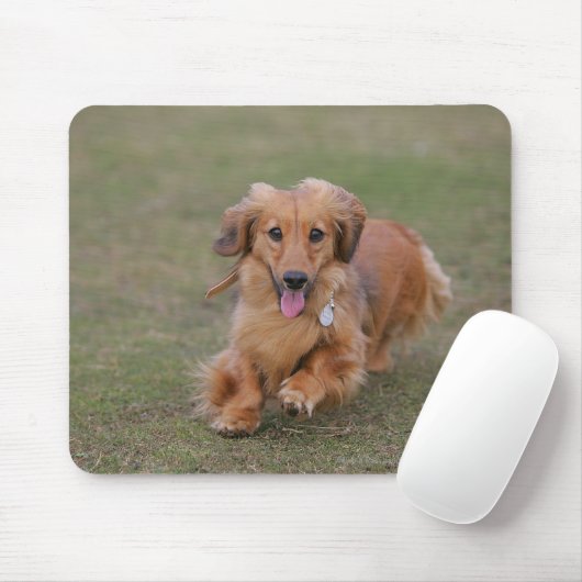 Miniture Dachshund Running Muismat (Met muis)