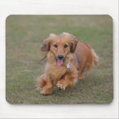 Miniture Dachshund Running Muismat (Voorkant)