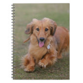Miniture Dachshund Running Notitieboek (Voorkant)