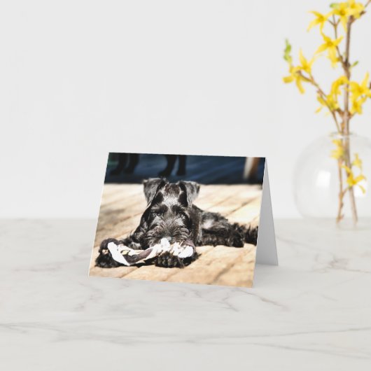 Miniture Schnauzer Note Kaart #2 - leeg (Gele Bloem)