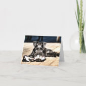 Miniture Schnauzer Note Kaart #2 - leeg (Voorkant)