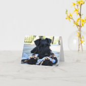 Miniture Schnauzer Note Kaart #5 - leeg (Gele Bloem)