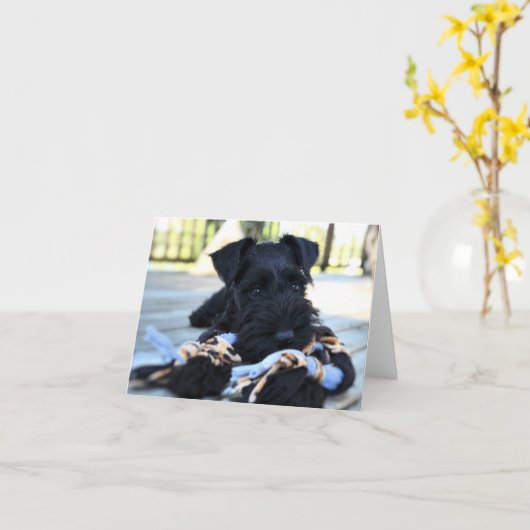 Miniture Schnauzer Note Kaart #5 - leeg (Gele Bloem)