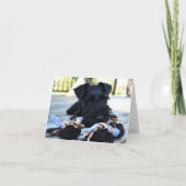 Miniture Schnauzer Note Kaart #5 - leeg (Voorkant)