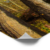 Mink Hollow Covered Bridge, provincie Fairfield, O Poster (Hoek)