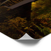 Mink Hollow Covered Bridge, provincie Fairfield, O Poster (Hoek)