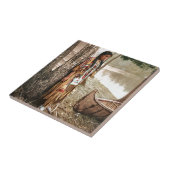 Minnehaha 1897 Native American Hiawatha Tegeltje (Zijkant)