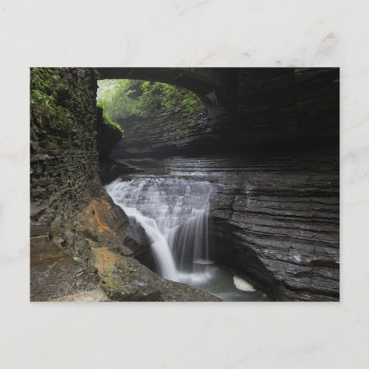 Minnehaha Herfsten, Watkins Glen State Park, New Y Briefkaart (Voorkant)