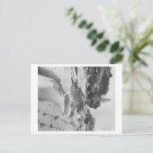 Minnekahta-Herfsten nabij Hot Springs-foto Briefkaart (Staand voorkant)