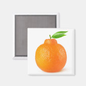 Minneola tangelo citrusvruchten magneet (Voorkant / Achterkant)