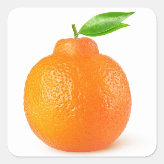 Minneola tangelo citrusvruchten vierkante sticker (Voorkant)