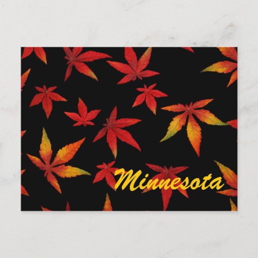 Minnesota Autumn Leaves Briefkaart (Voorkant)