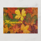 Minnesota Autumn Leaves Briefkaart (Voorkant)