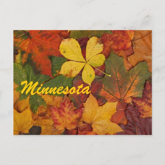 Minnesota Autumn Leaves Briefkaart (Voorkant)