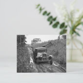 Minnesota Blueberry Pickers, 1937 Briefkaart (Staand voorkant)