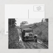 Minnesota Blueberry Pickers, 1937 Briefkaart (Voorkant / Achterkant)