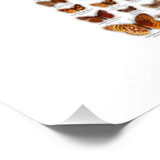 Minnesota Butterflies Perfect Poster (Hoek)