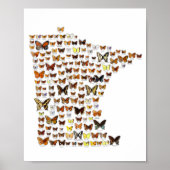Minnesota Butterflies Poster (Voorkant)