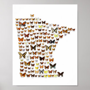 Minnesota Butterflies Poster