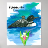 Minnesota Common Loon Baby Bird Water Poster (Voorkant)