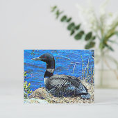 Minnesota Common Loon Briefkaart (Staand voorkant)