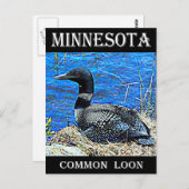 Minnesota Common Loon Briefkaart (Voorkant / Achterkant)