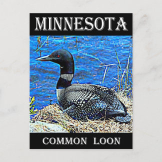 Minnesota Common Loon Briefkaart